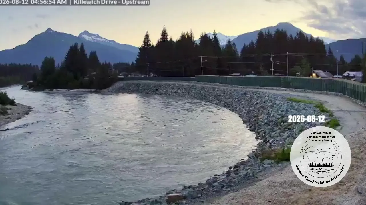 The Mendenhall River at Killewich Drive on the morning of August 12, 2026, at normal summer flow below the temporary barrier